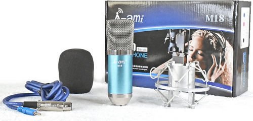 Πυκνωτικό Μικρόφωνο XLR Shock Mounted για Φωνητικά - Image 3