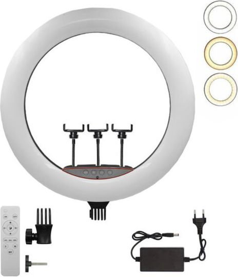 Ring Light 45.72cm με Βάση για Κινητό