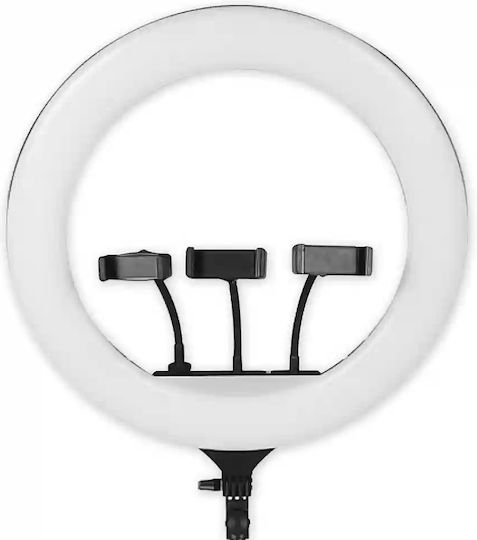 Ring Light 45.72cm με Βάση για Κινητό - Image 6