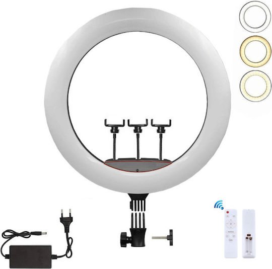 Ring Light 45.72cm με Βάση για Κινητό - Image 4