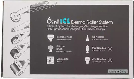 Σετ 6 Σε 1 Ice Derma Roller Με Βελόνες Τιτανίου Για Αντιγήρανση - Image 2